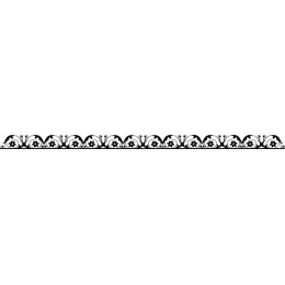 Elegant Floral Border