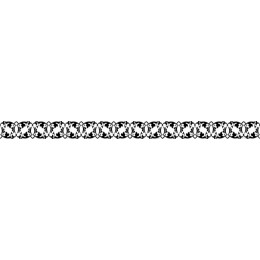 Elegant Floral Border