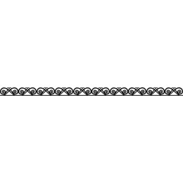 Black and White Decorative Swirl Border