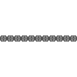 Elegant Decorative Border