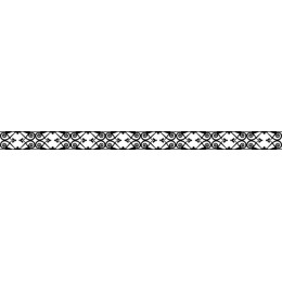 Elegant Black and White Border