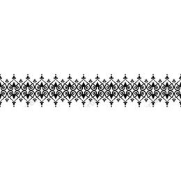 Elegant Black Ornate Border