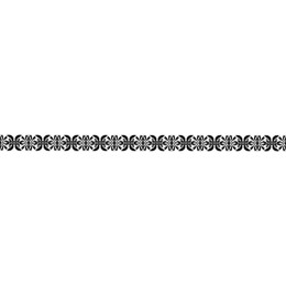 Elegant Floral Border - Classic Black and White