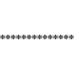 Elegant Floral Border