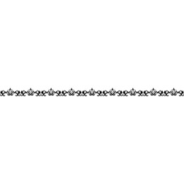 Elegant Vintage Floral Border