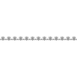 Tulip Floral Border