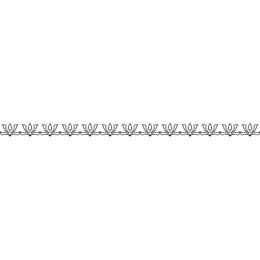 Elegant Floral Border