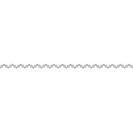 Elegant Decorative Border