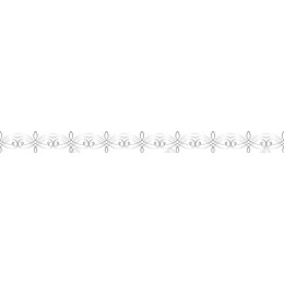 Elegant Decorative Border