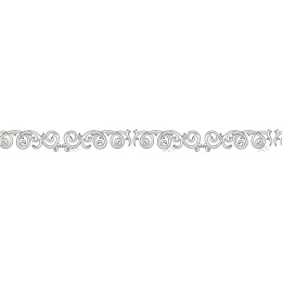 Elegant Floral Swirl Border