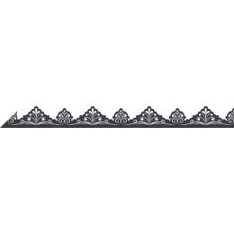 Elegant Lace Border