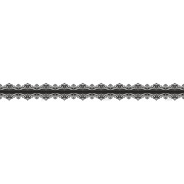 Elegant Vintage Ornamental Border