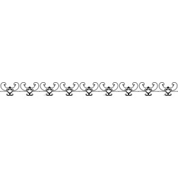 Elegant Ornamental Border