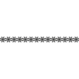 Elegant Floral Border