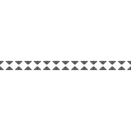 Elegant Black & White Decorative Border