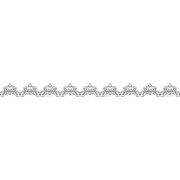 Elegant Ornamental Border