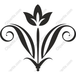 Elegant Floral