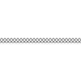 Elegant Floral Border