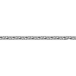 Elegant Decorative Border