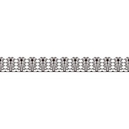 Elegant Floral Border
