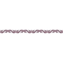 Elegant Ornamental Border