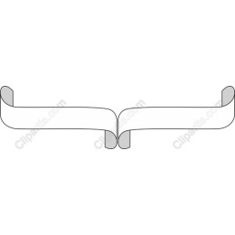 Elegant Ribbon