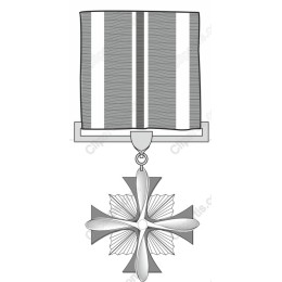 Elegant Medal