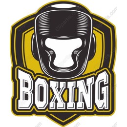  Boxing Helmet
