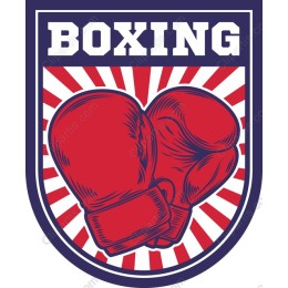 Boxing Gloves