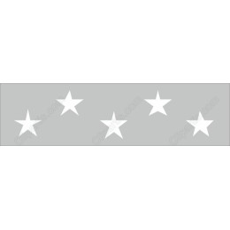 Five-Star Rating