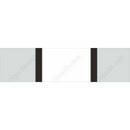 Modern Blank Canvas