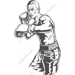 Dynamic Boxer