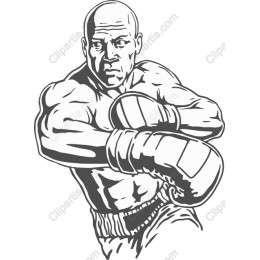 Dynamic Boxer