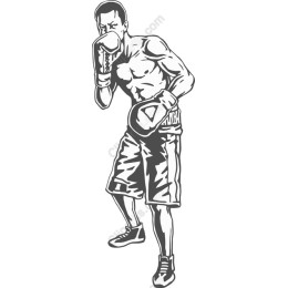 Dynamic Boxer