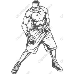 Boxer in Action