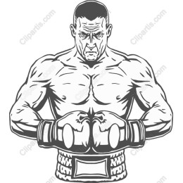 Dynamic Boxer