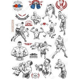 Boxing Champions Set