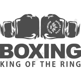 Boxing - King of the Ring