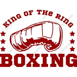 King of the Ring Boxing