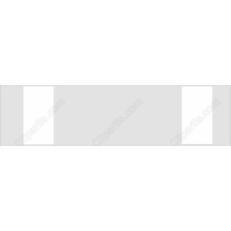 Versatile Scalable Asset