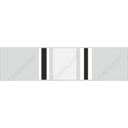Modern Minimalist Black and White