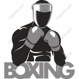 Boxing Champion
