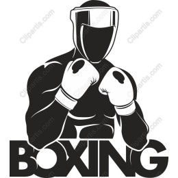 Boxing Champion