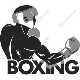 Knockout Boxing