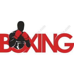 Boxing Champion