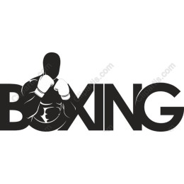 Boxing Champion