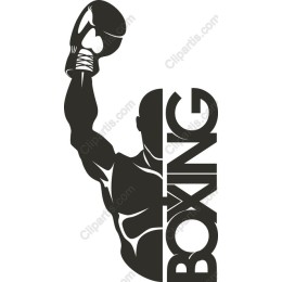 Boxing Champion