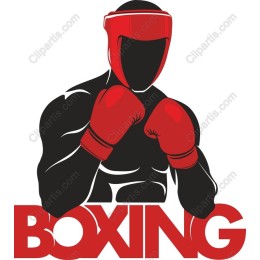 Boxing Champion
