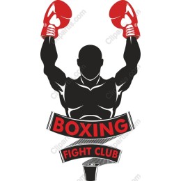 Boxing Champion