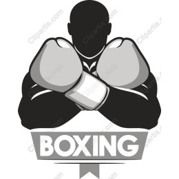 Boxing Power